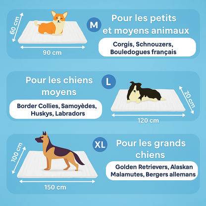 Qualibaz™ - Le tapis rafraîchissant innovant pour chien et chat
