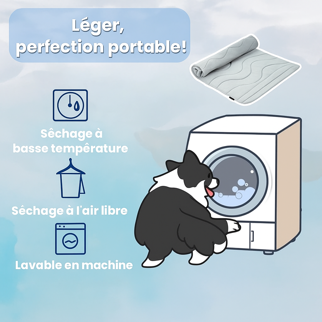 Qualibaz™ - Le tapis rafraîchissant innovant pour chien et chat