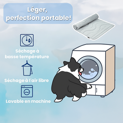 Qualibaz™ - Le tapis rafraîchissant innovant pour chien et chat