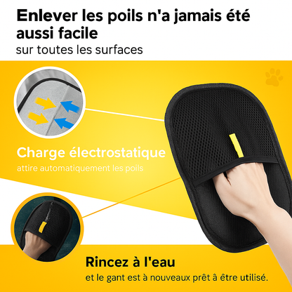 Gant attrape-poils