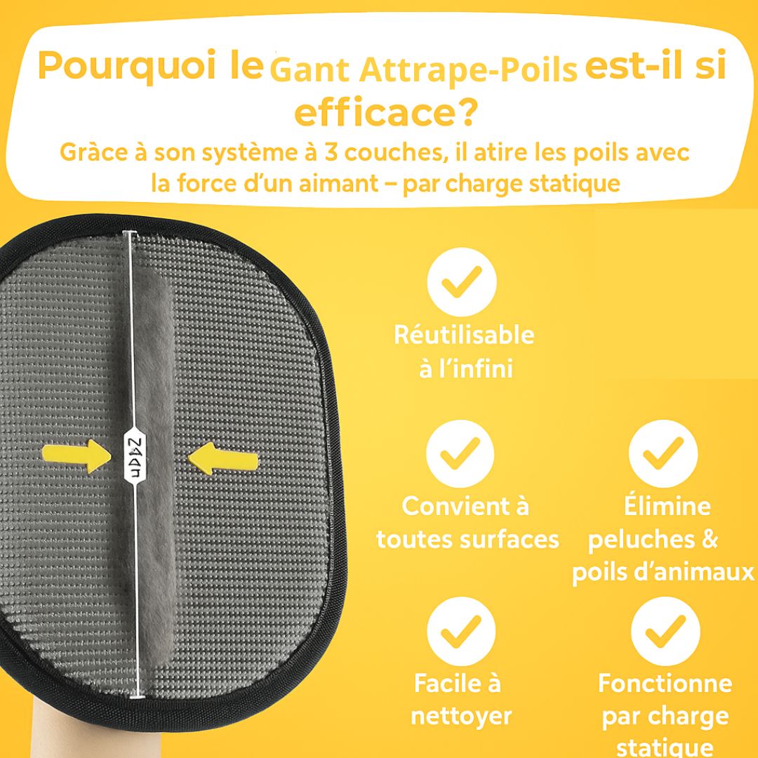 Gant attrape-poils