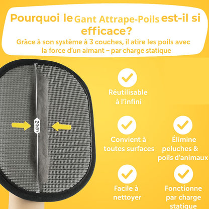 Gant attrape-poils