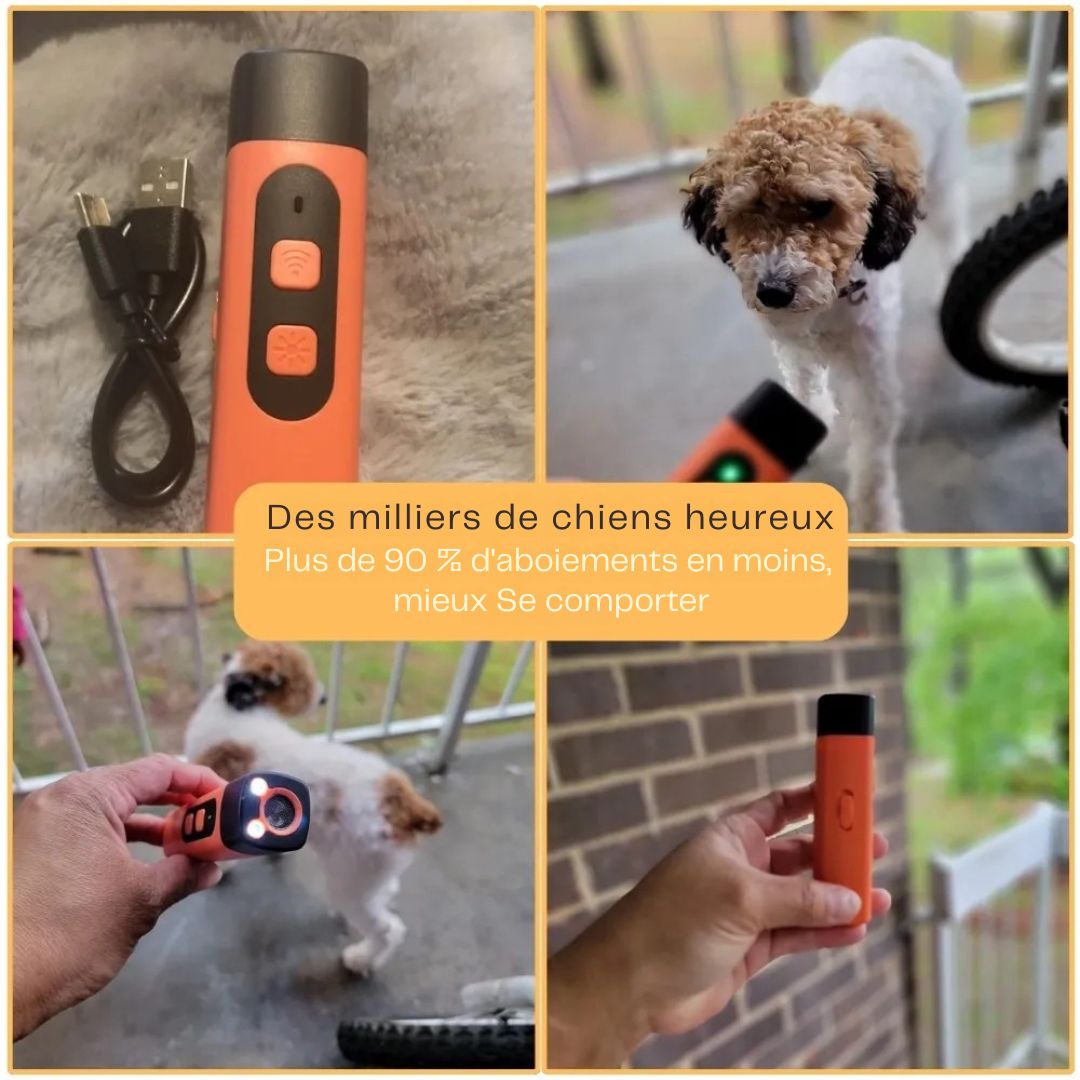 Lampe sonore - Pour Éduquer votre chien