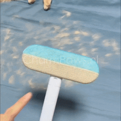 Qualibaz™ MultiSwipe Pro – Élimine les Poils d’Animaux sur Toutes les Surfaces