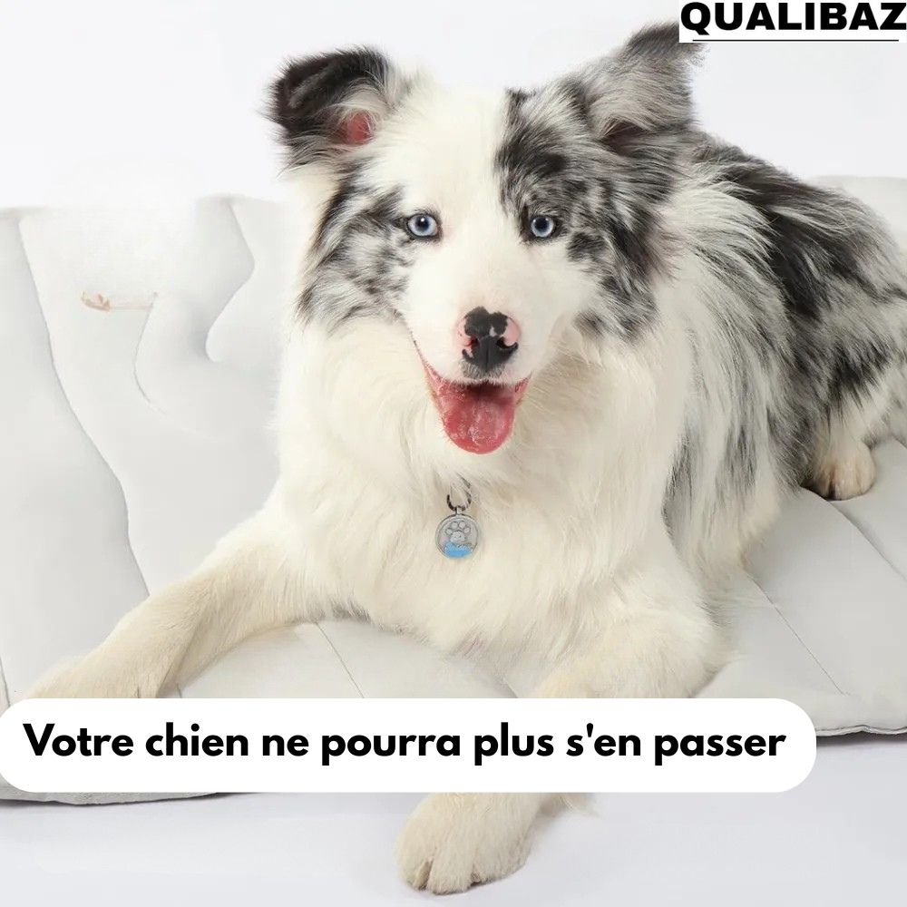 Qualibaz™ - Le tapis rafraîchissant innovant pour chien et chat