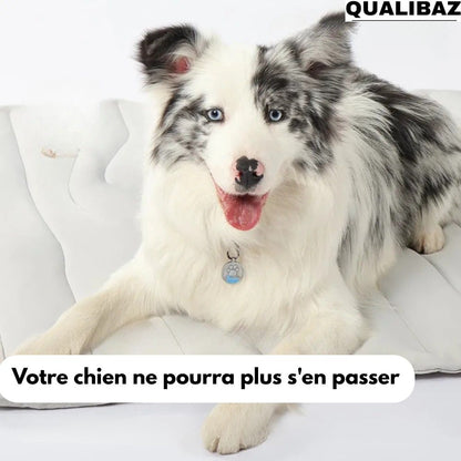 Qualibaz™ - Le tapis rafraîchissant innovant pour chien et chat