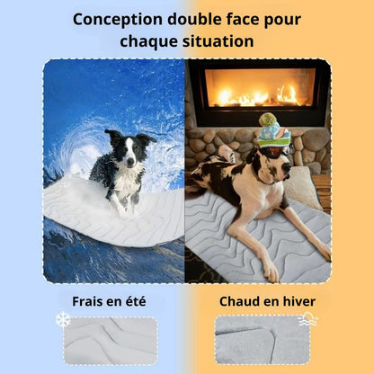 Qualibaz™ - Le tapis rafraîchissant innovant pour chien et chat